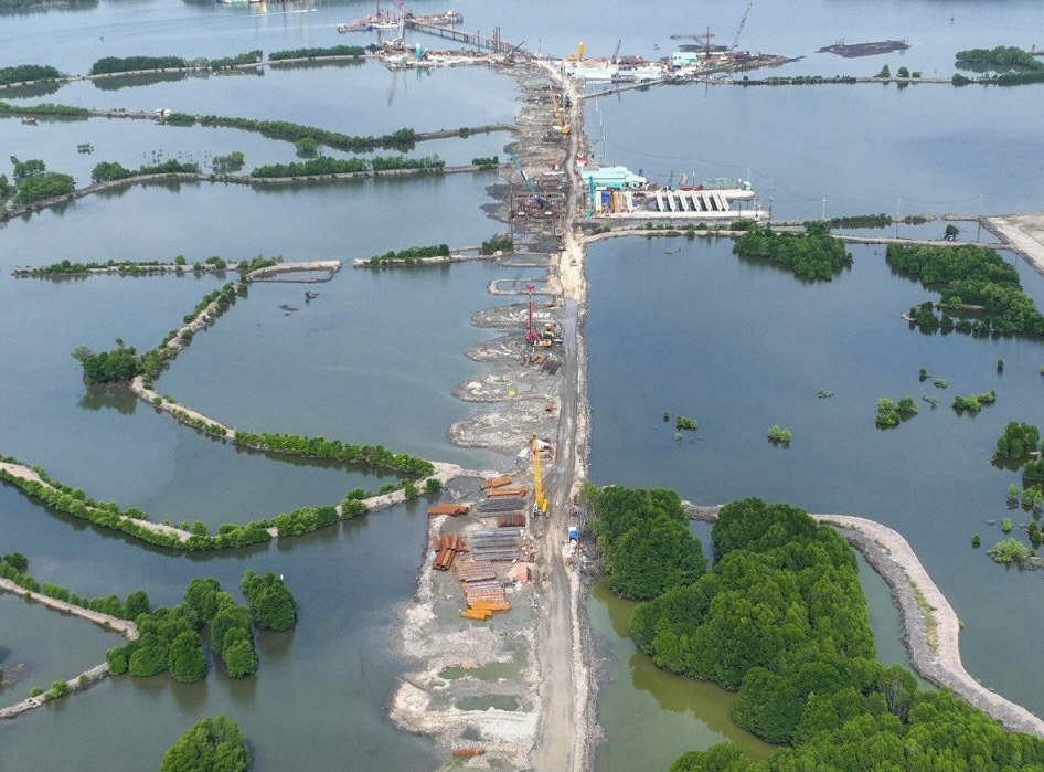 Bà Rịa - Vũng Tàu đốc thúc Đồng Nai chuyển đổi 3ha đất rừng xây cầu Phước An- Ảnh 1.