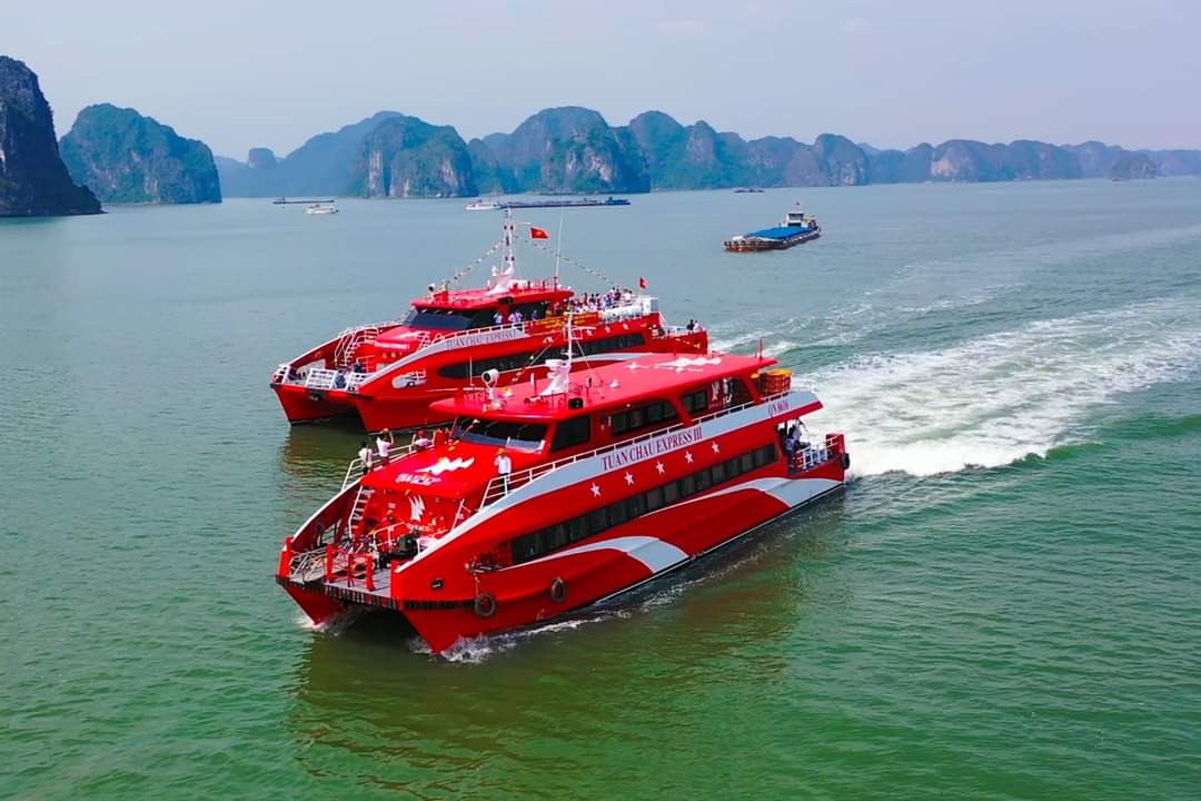 Quảng Ninh thí điểm du thuyền đẳng cấp trải nghiệm vịnh Bái Tử Long- Ảnh 2.