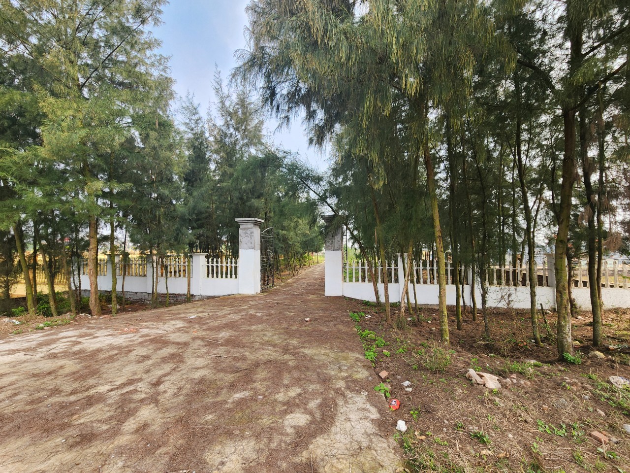 Vụ hơn 200 hộ dân bỏ ruộng hoang ở Thái Bình: Chính quyền chậm trễ xử lý sai phạm- Ảnh 2.