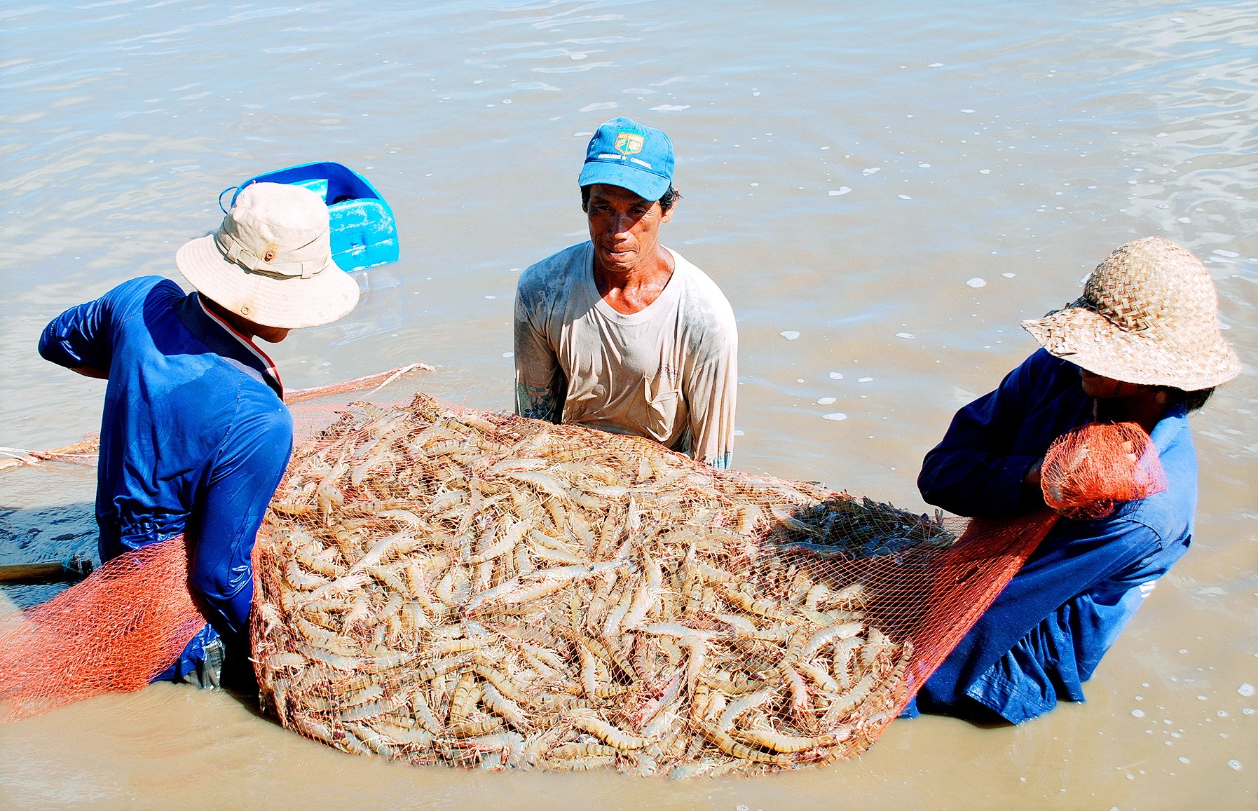 Ba điểm ấn tượng của kinh tế Đồng bằng sông Cửu Long- Ảnh 2.