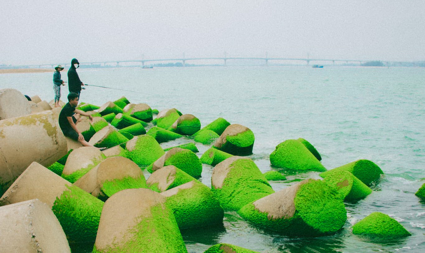 Khung cảnh cực chill ở bờ kè làng biển phủ kín rêu xanh- Ảnh 10.