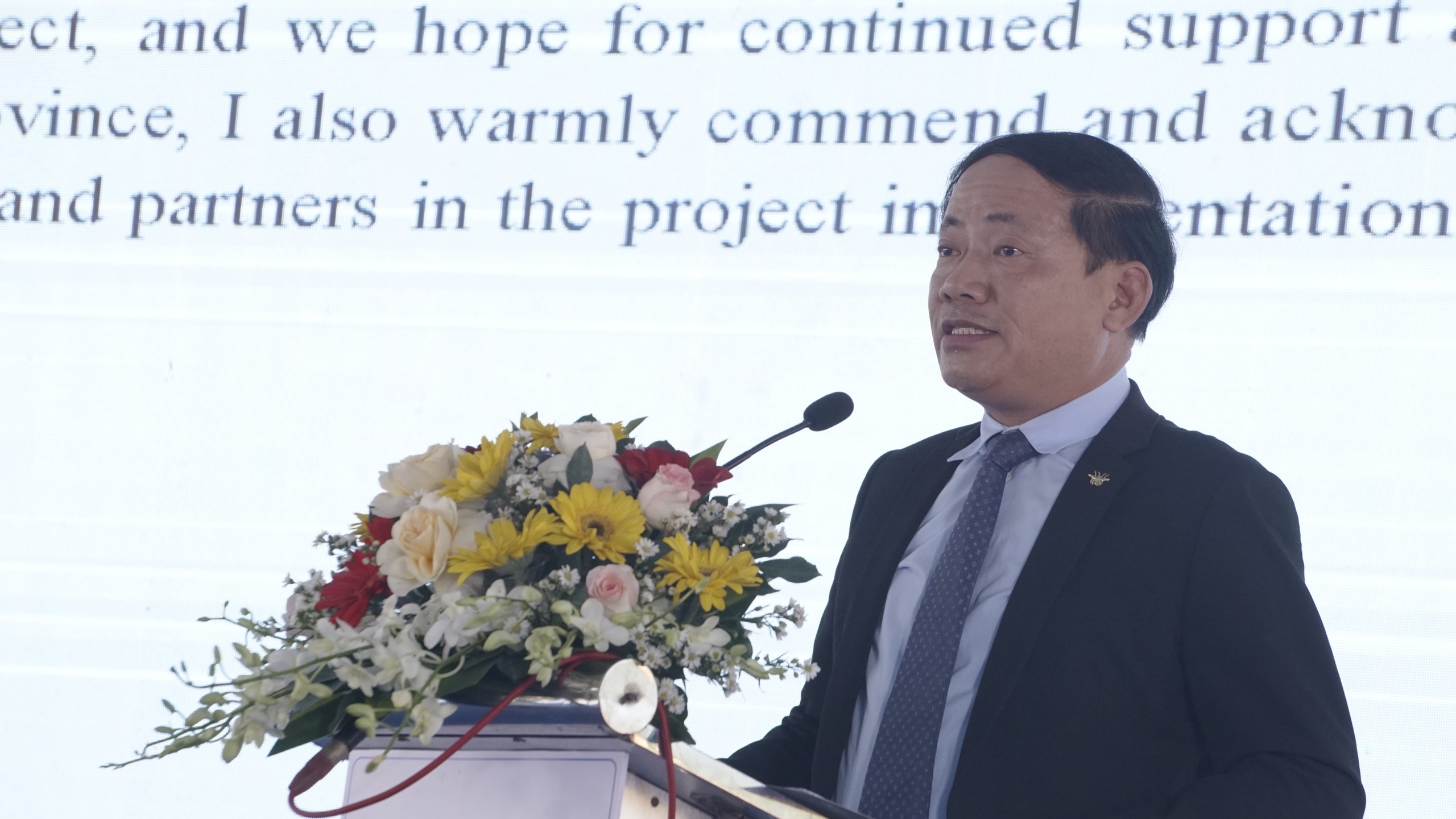 Phó thủ tướng: Bình Định cần hướng tới các đô thị xanh với hệ thống hạ tầng đồng bộ- Ảnh 4.