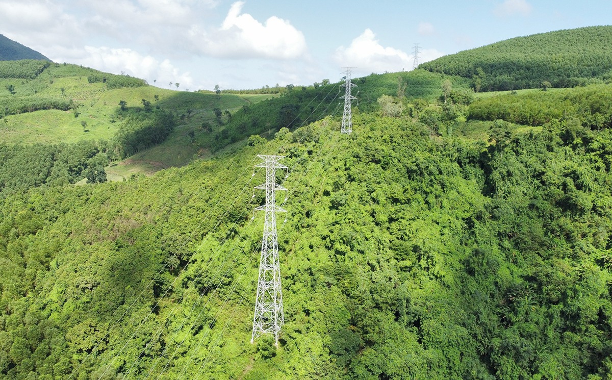 Cho phép tạm sử dụng rừng phục vụ thi công dự án đường dây 500kV- Ảnh 1.