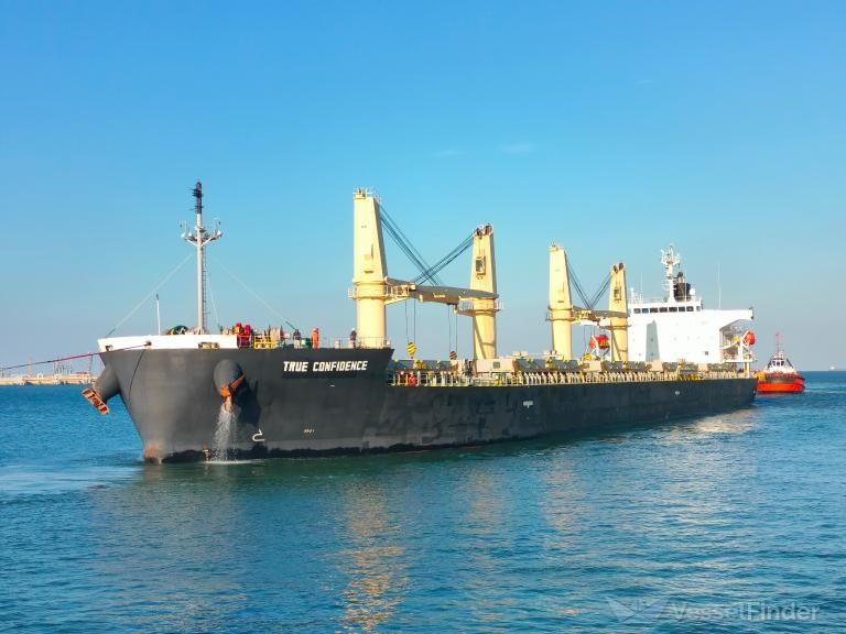 Hỗ trợ thuyền viên Việt Nam trên tàu bị Houthi tấn công- Ảnh 1.
