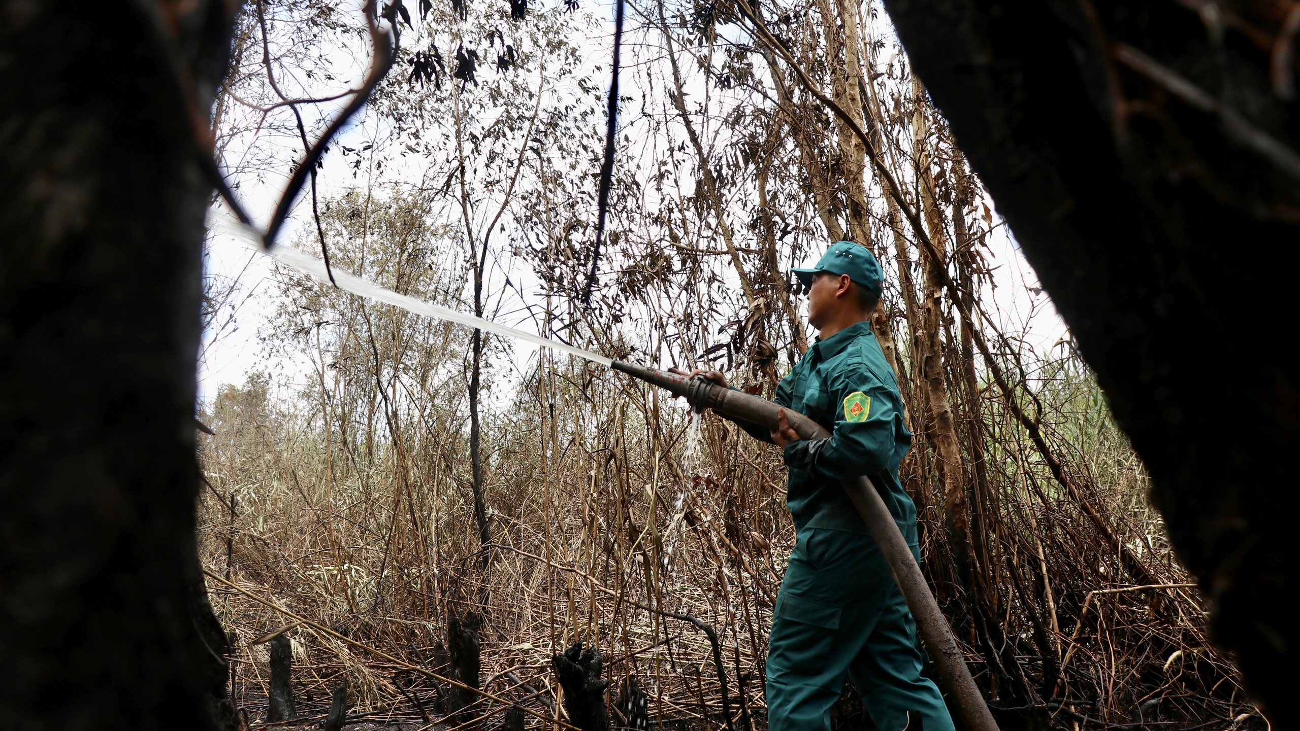 Cận cảnh vụ cháy thiêu rụi khoảng 40ha rừng tràm ở Cà Mau- Ảnh 6.