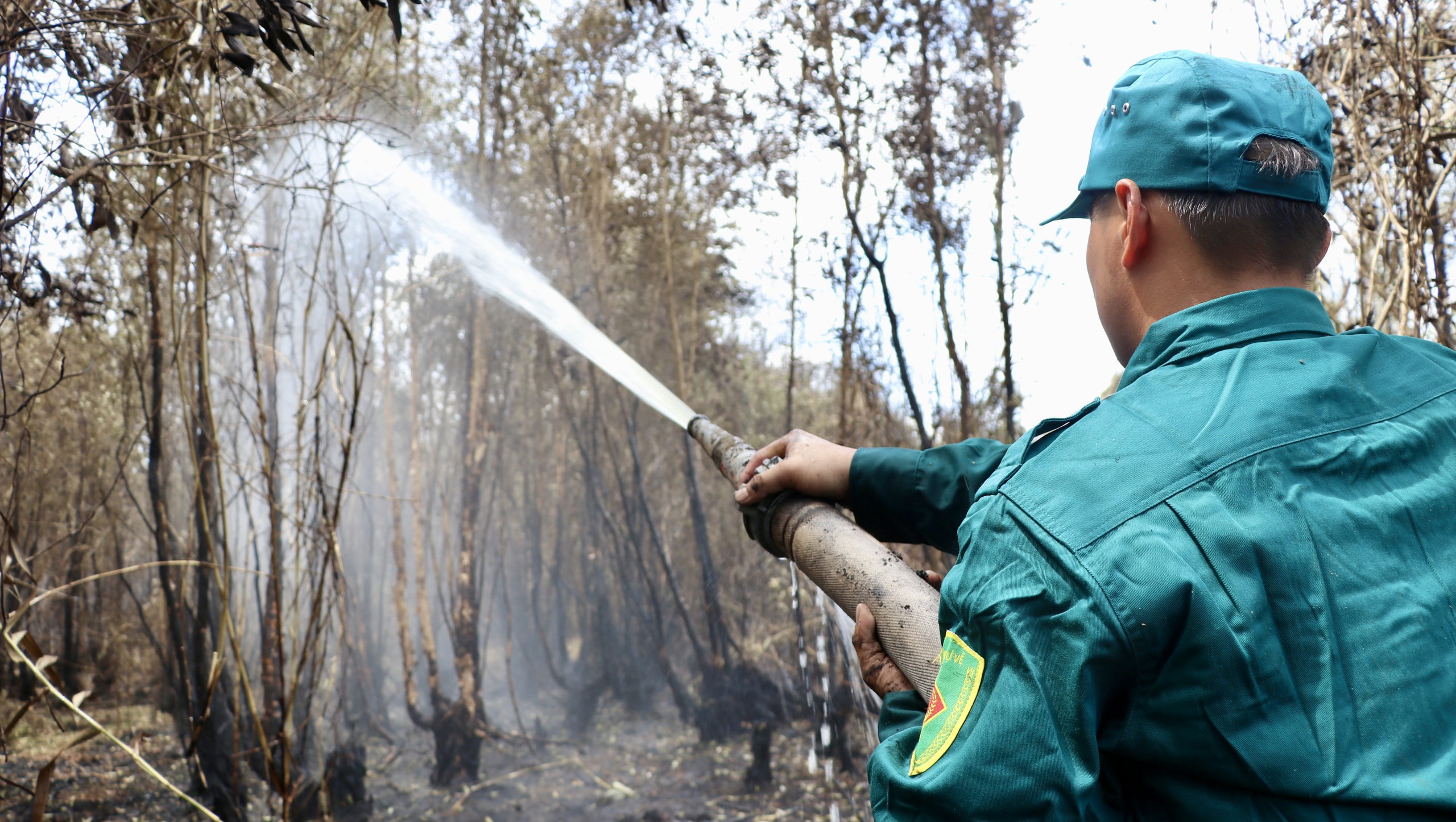 Cận cảnh vụ cháy thiêu rụi khoảng 40ha rừng tràm ở Cà Mau- Ảnh 2.