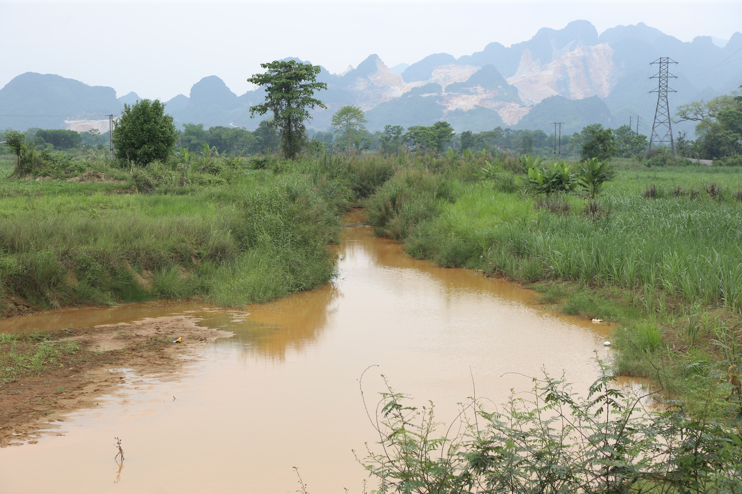 Nghệ An: Nước sông Nậm Tôn bất ngờ chuyển màu vàng đục- Ảnh 1.