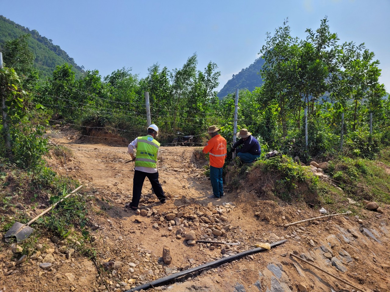 Lo ngại nạn phá rào bảo vệ trên tuyến La Sơn - Hòa Liên- Ảnh 2.