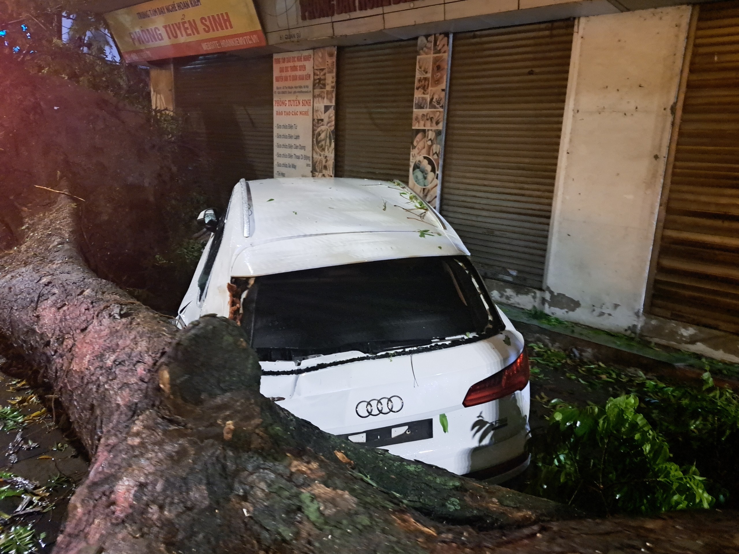 Mưa lớn khiến cây cổ thụ đổ đè trúng 2 xe sang trên phố ở Hà Nội- Ảnh 1.