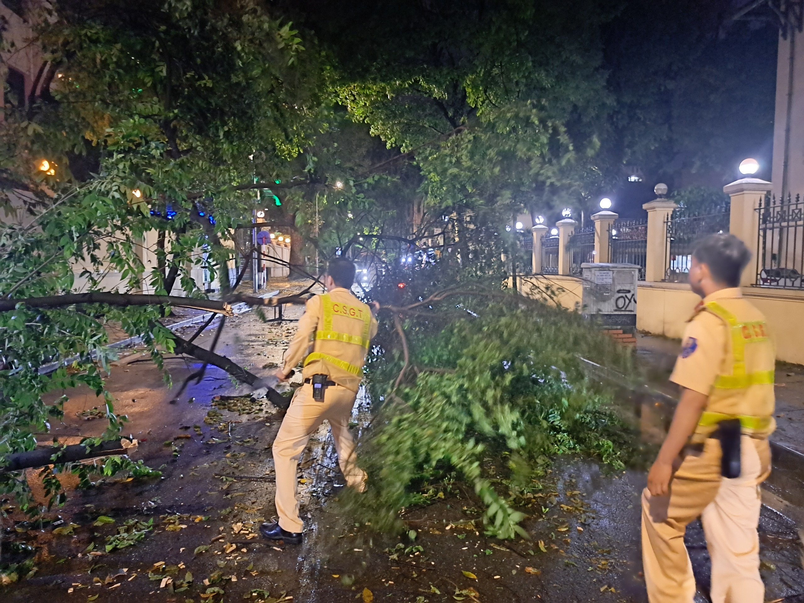Mưa lớn khiến cây cổ thụ đổ đè trúng 2 xe sang trên phố ở Hà Nội- Ảnh 2.