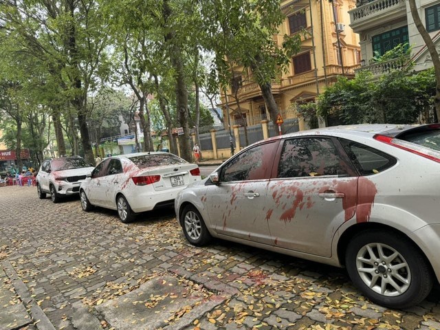 Điều tra vụ 6 ô tô bị tạt sơn ở Hà Nội- Ảnh 1.