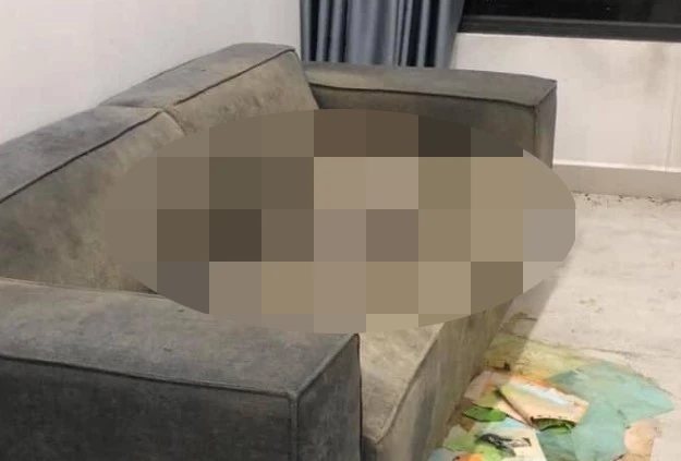 Vụ thi thể nữ trên ghế sofa ở Hà Nội: Gia đình tìm nạn nhân suốt 2 năm- Ảnh 1.