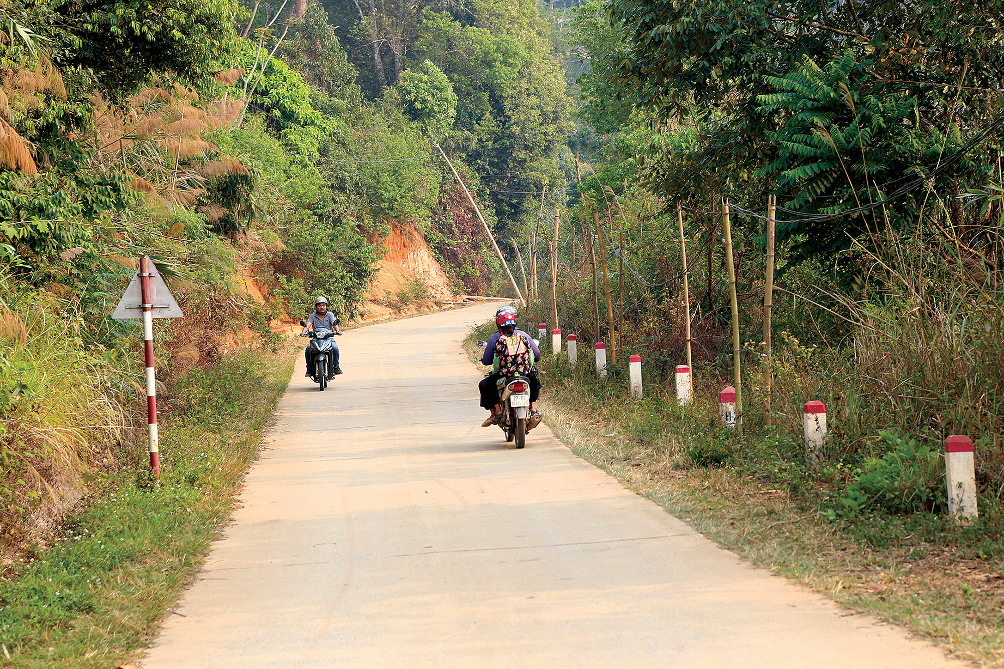 Pú Hồng không còn xa- Ảnh 2.