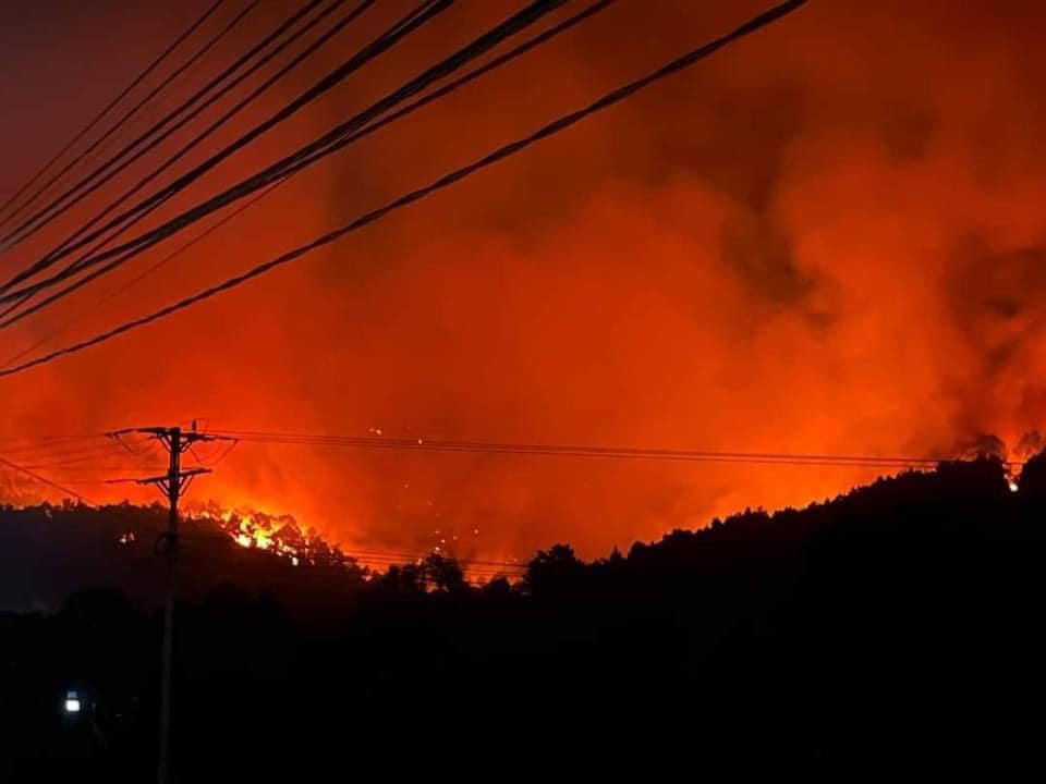 Nghệ An: Hàng trăm người căng mình trắng đêm dập lửa cứu rừng- Ảnh 1.