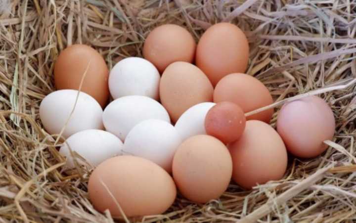 Trứng gà màu nâu và trắng loại nào bổ dưỡng hơn, đa số lựa chọn sai- Ảnh 1.