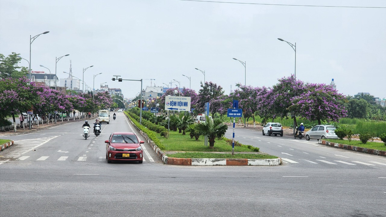 Thái Bình: Đường gần 480 tỷ đồng sau 3 năm vẫn "nằm trên giấy"- Ảnh 4.