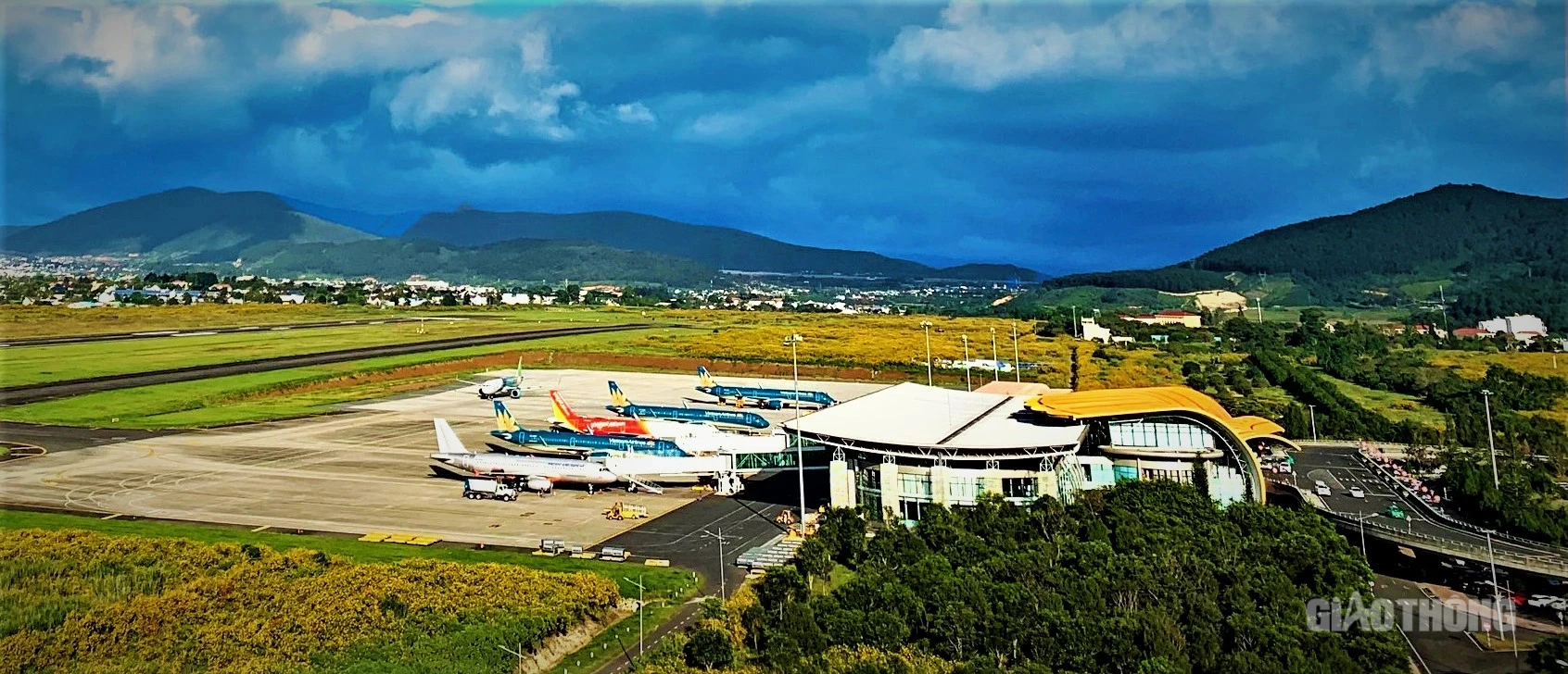 Sân bay Liên Khương - bông dã quỳ khoe sắc trên cao nguyên xanh- Ảnh 1.