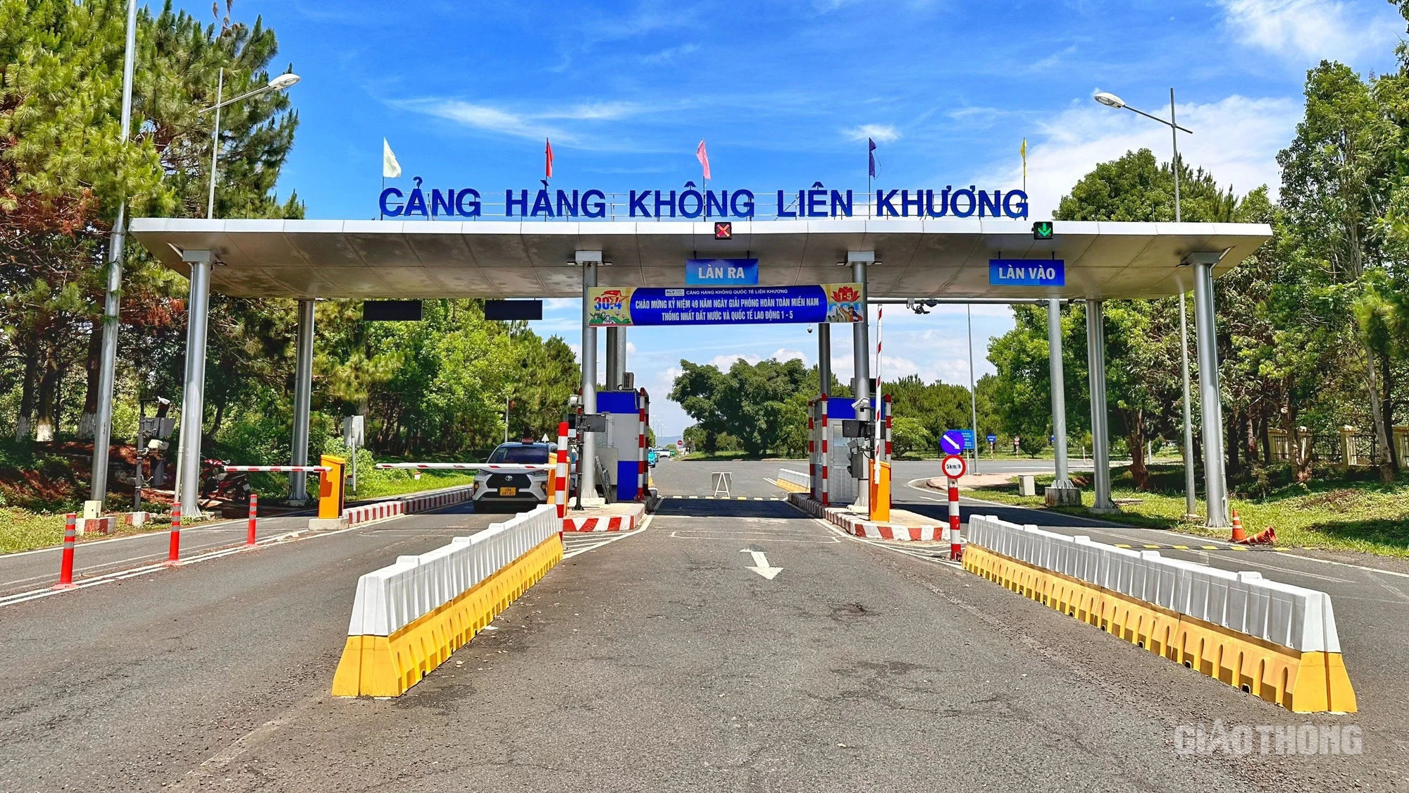 Sân bay Liên Khương - bông dã quỳ khoe sắc trên cao nguyên xanh- Ảnh 3.