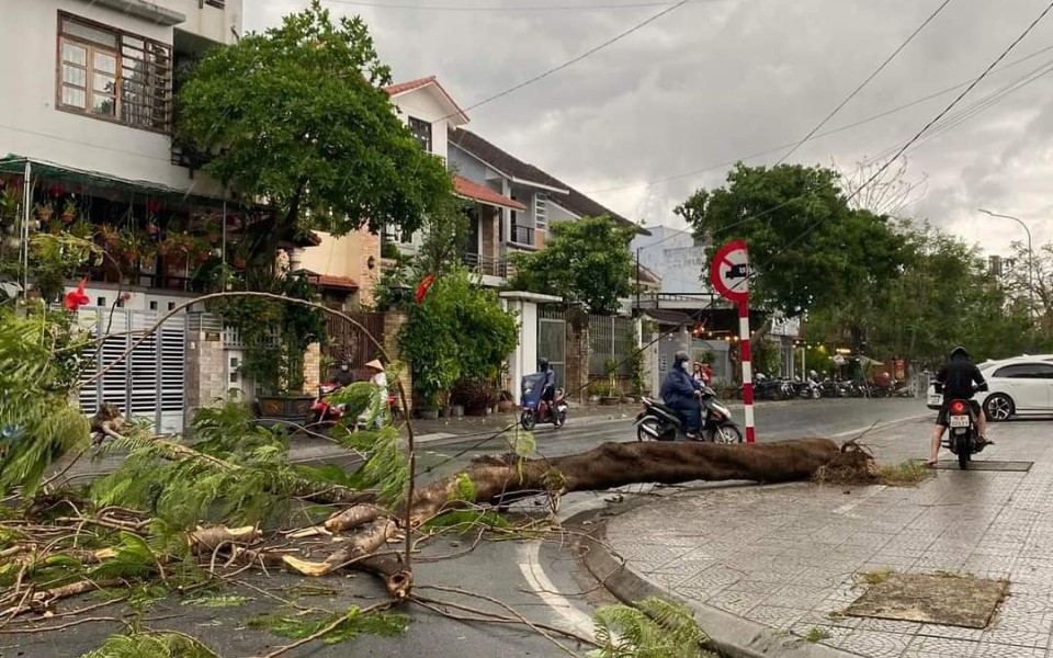 Giông sét, lốc xoáy ở Huế làm nhiều cây xanh gãy đổ, nhà tốc mái