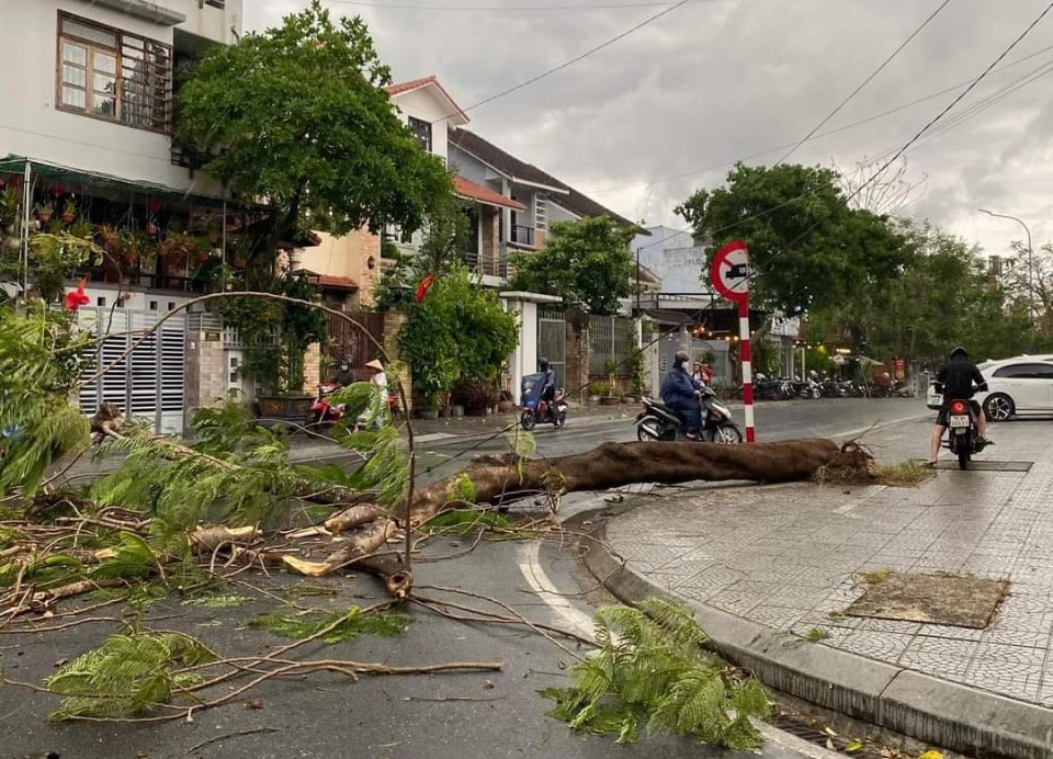 Giông sét, lốc xoáy ở Huế làm nhiều cây xanh gãy đổ, nhà tốc mái- Ảnh 1.