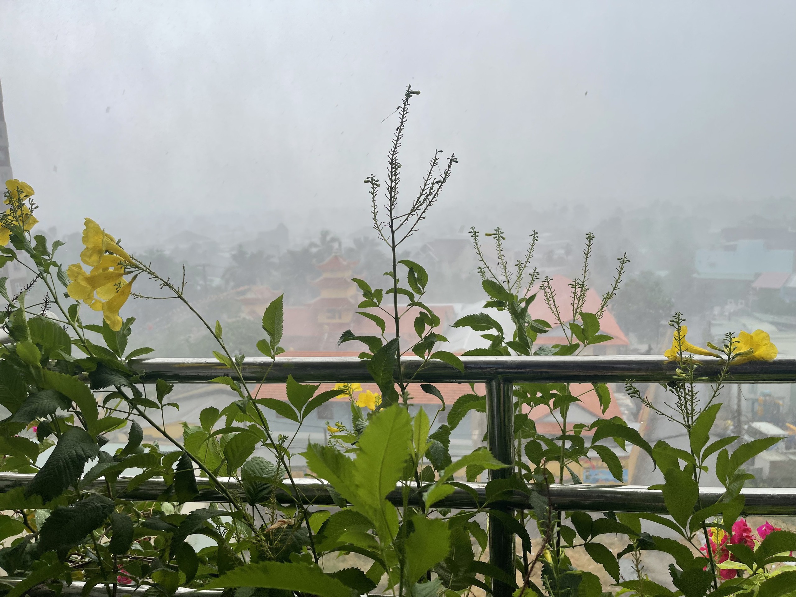TP.HCM đón "cơn mưa vàng", nhiều người dân bì bõm dắt bộ vì xe chết máy giữa đường- Ảnh 2.