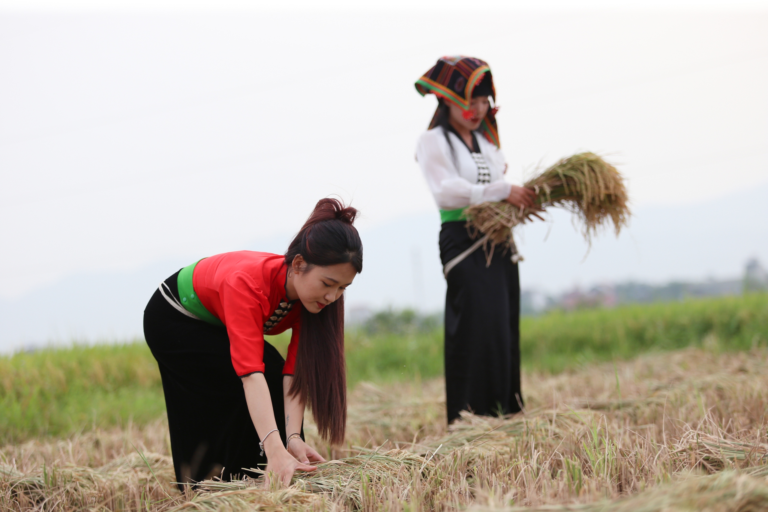 Mê mẩn ngắm cánh đồng Mường Thanh đẹp nhất Tây Bắc- Ảnh 9.