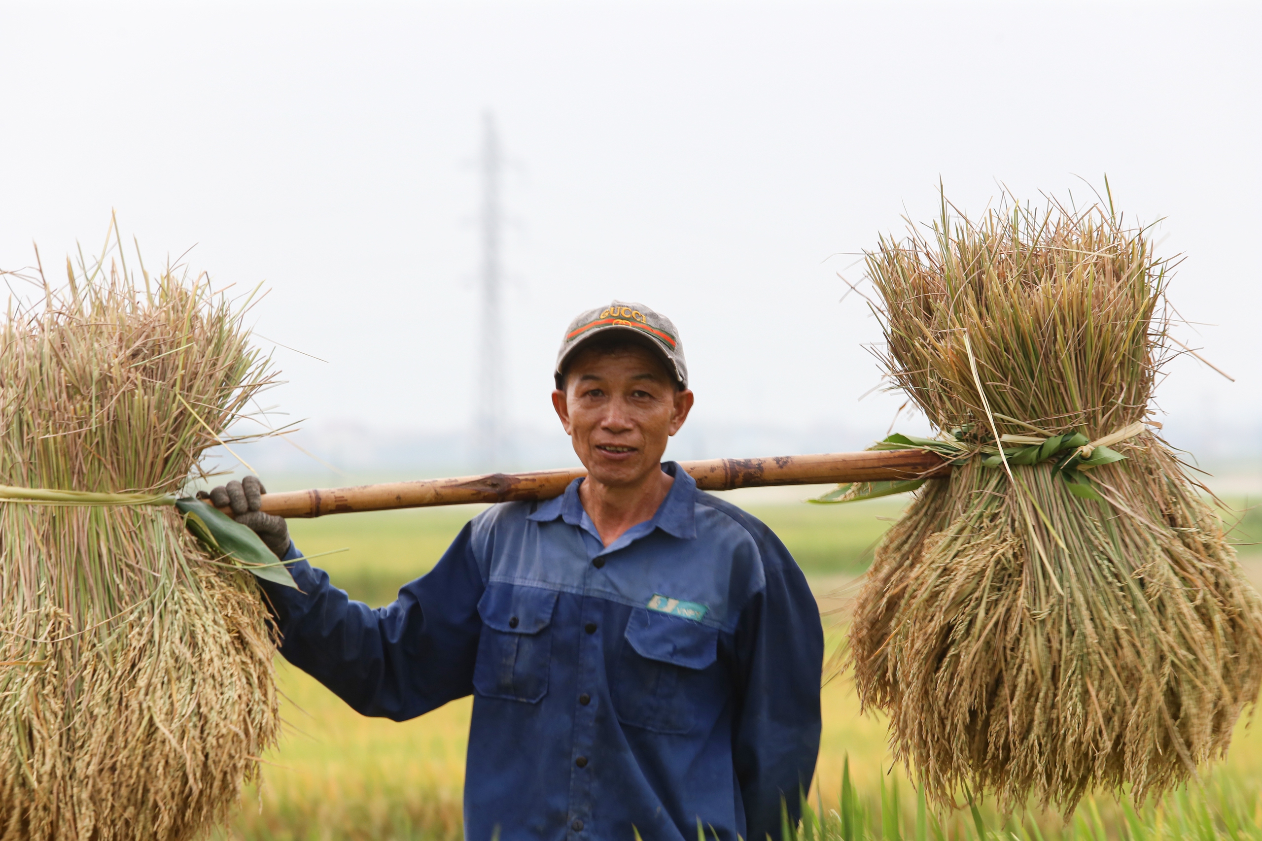 Mê mẩn ngắm cánh đồng Mường Thanh đẹp nhất Tây Bắc- Ảnh 21.