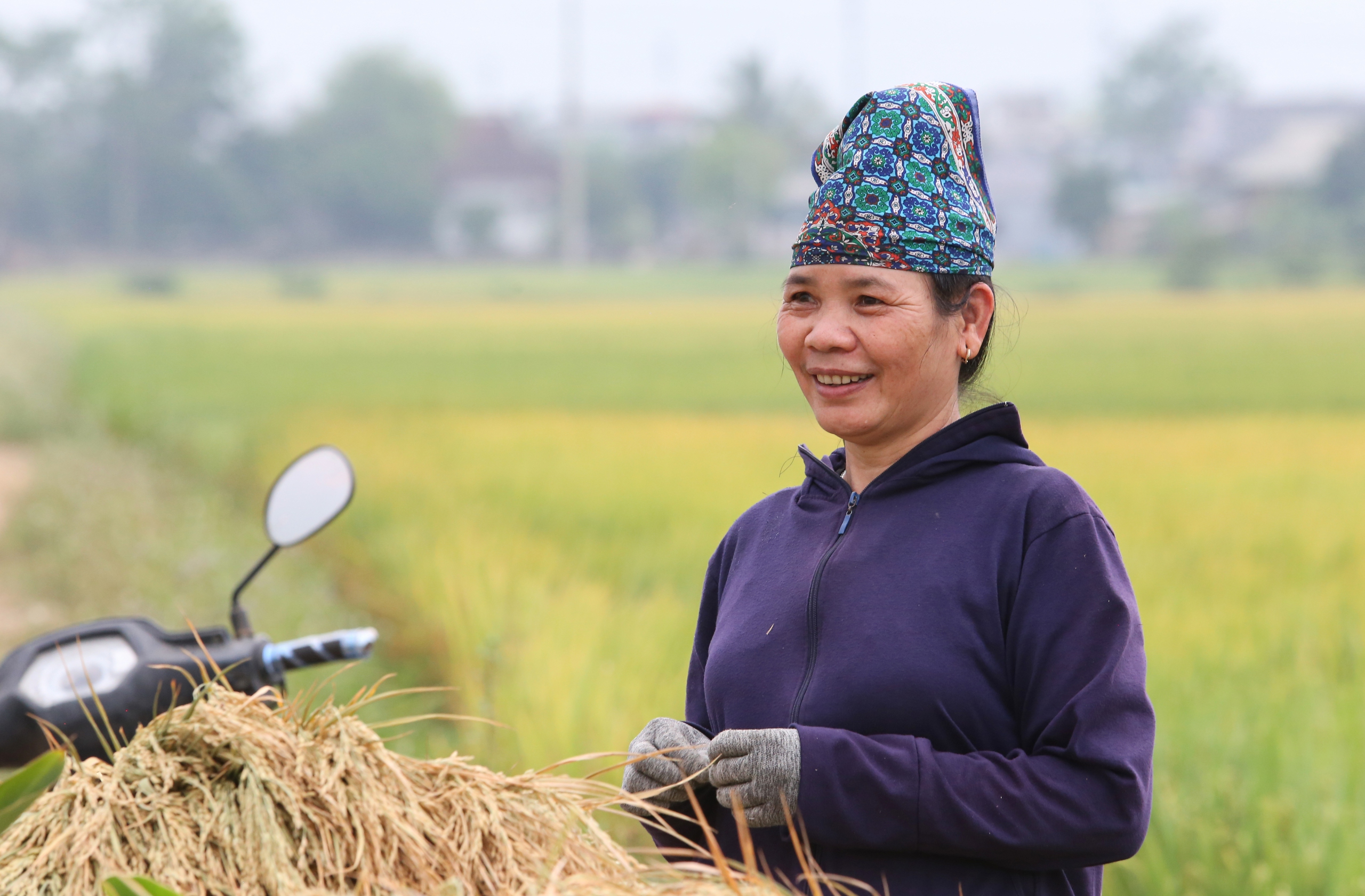 Mê mẩn ngắm cánh đồng Mường Thanh đẹp nhất Tây Bắc- Ảnh 19.