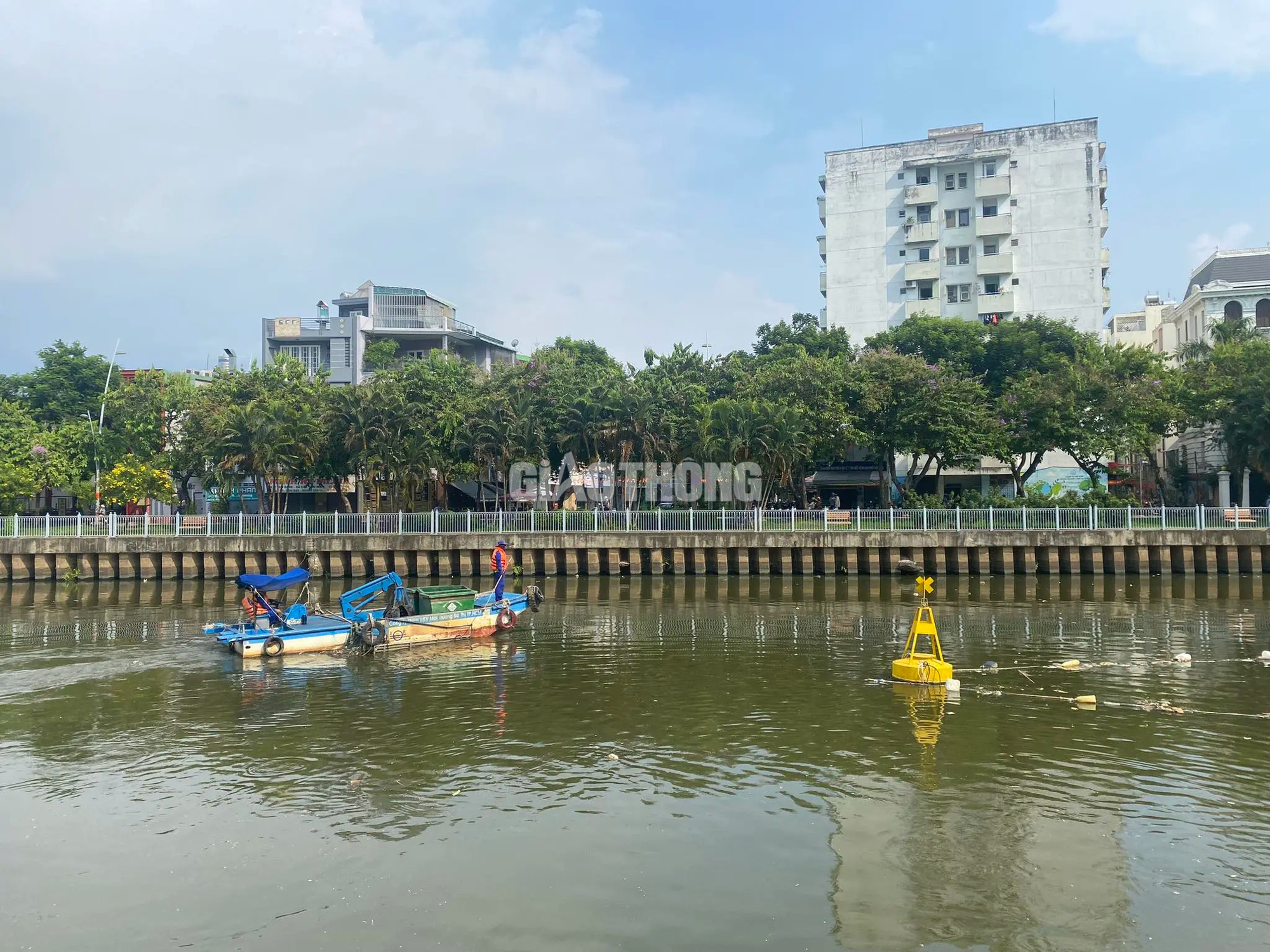 Khoảng 20 tấn cá chết trên kênh Nhiêu Lộc - Thị Nghè sau trận mưa đầu mùa- Ảnh 8.
