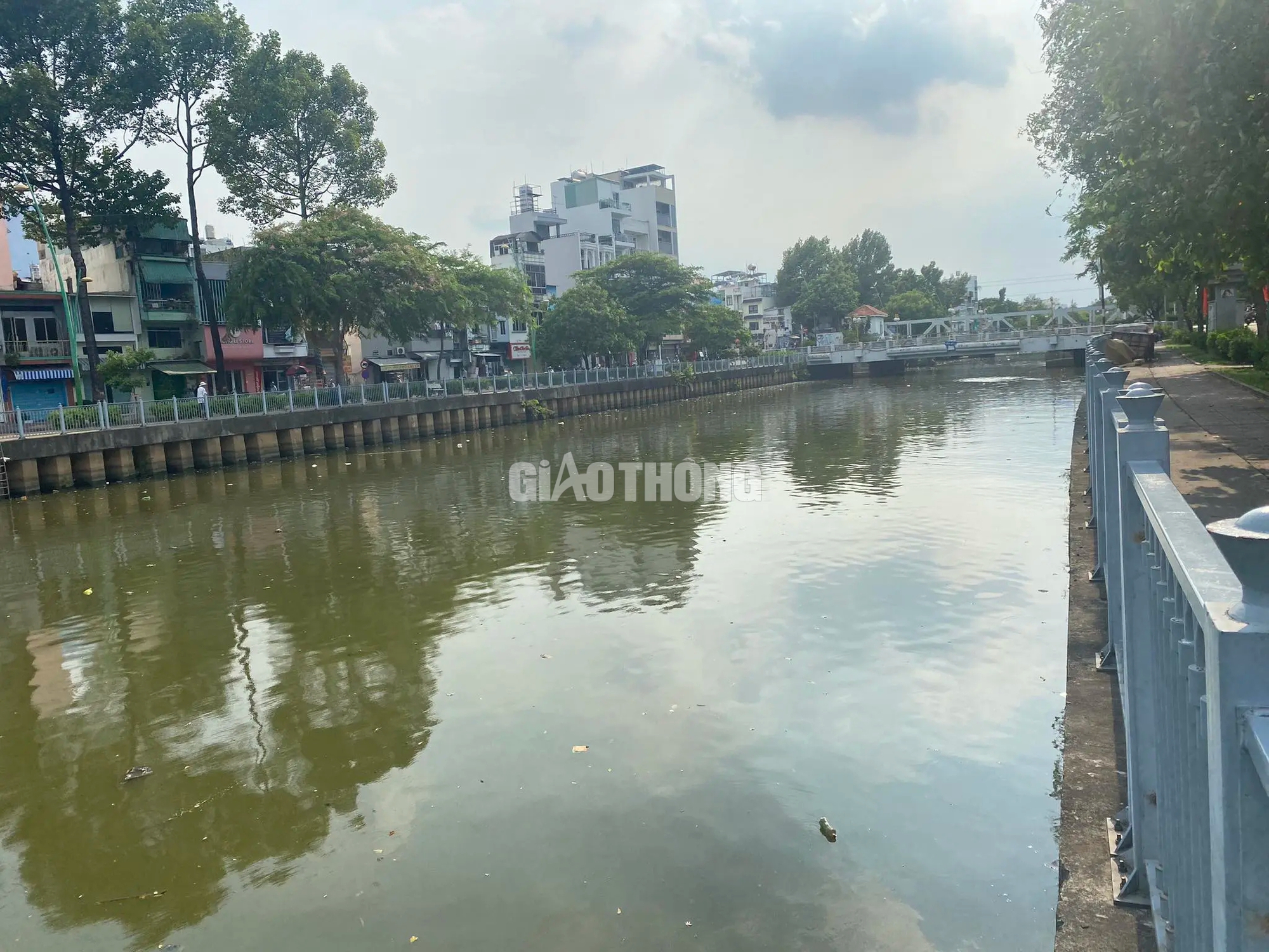 Khoảng 20 tấn cá chết trên kênh Nhiêu Lộc - Thị Nghè sau trận mưa đầu mùa- Ảnh 14.