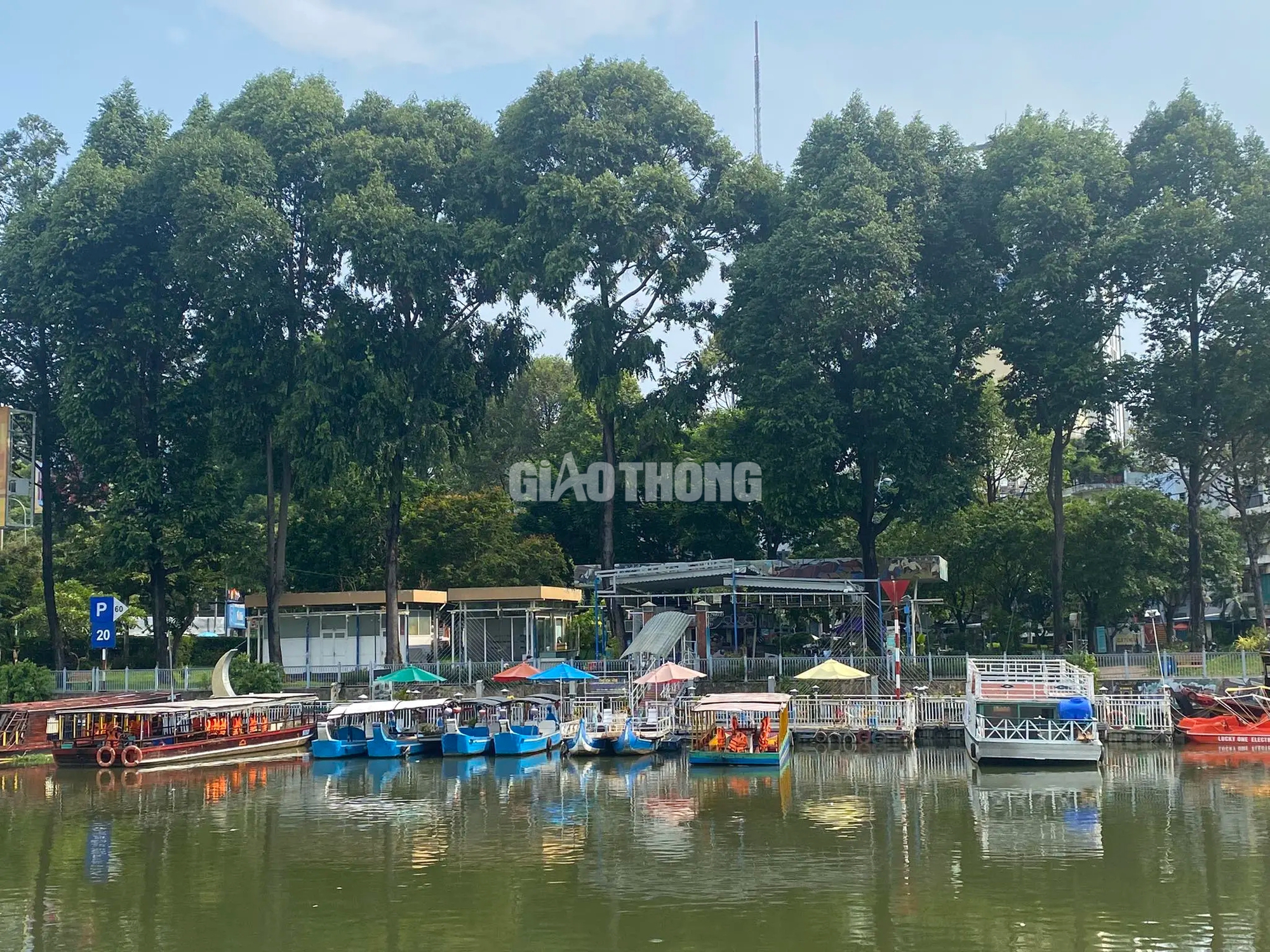 Khoảng 20 tấn cá chết trên kênh Nhiêu Lộc - Thị Nghè sau trận mưa đầu mùa- Ảnh 16.