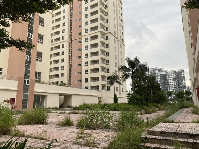 Gần 9.000 căn hộ tái định cư bỏ hoang, không có người ở nhưng vẫn nợ 81 tỷ phí vận hành- Ảnh 1.