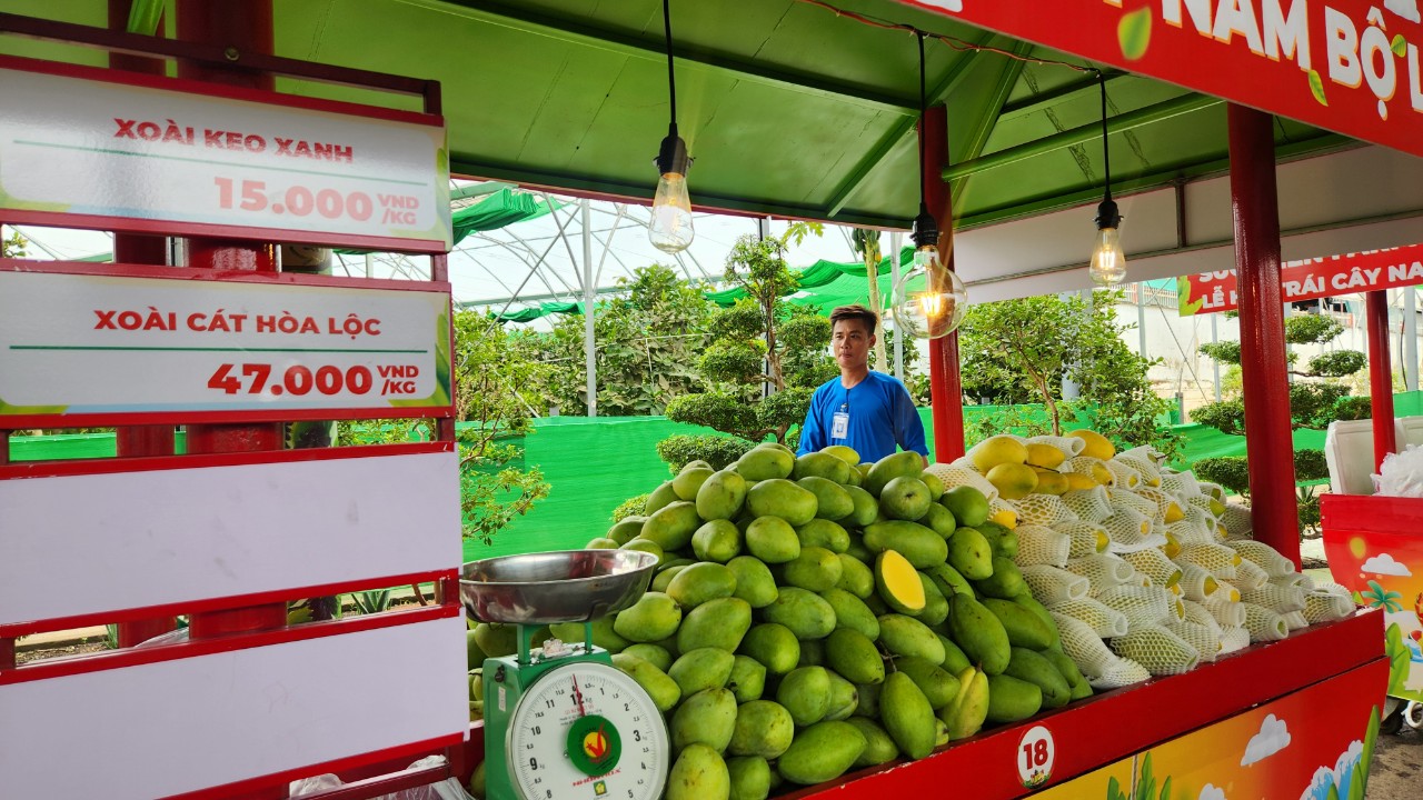 Vườn bí đao khổng lồ hút du khách tại lễ hội trái cây Nam Bộ- Ảnh 15.