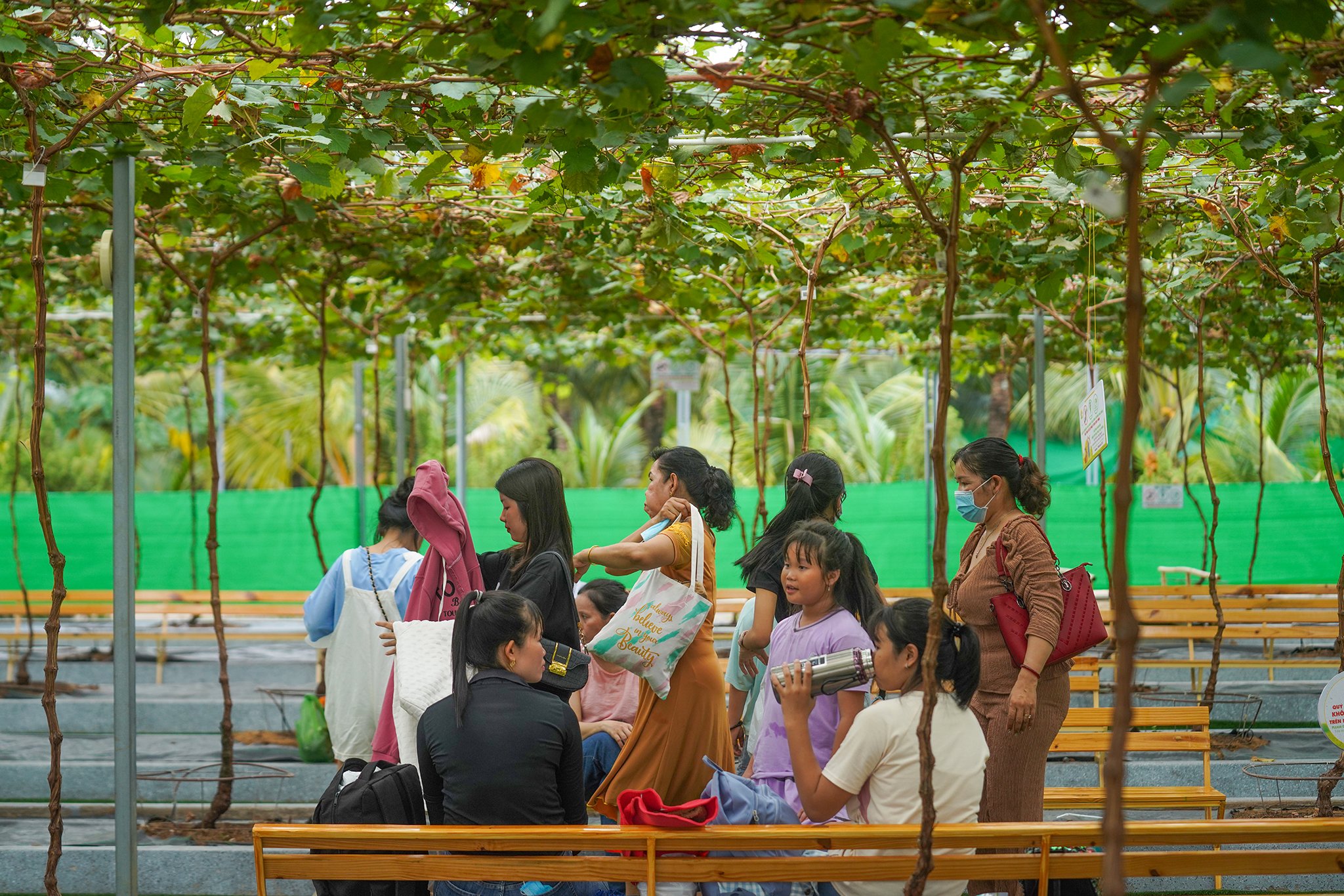 Vườn bí đao khổng lồ hút du khách tại lễ hội trái cây Nam Bộ- Ảnh 5.