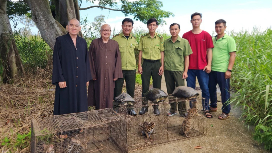 Thả 9 cá thể động vật hoang dã về Vườn quốc gia U Minh Hạ- Ảnh 1.