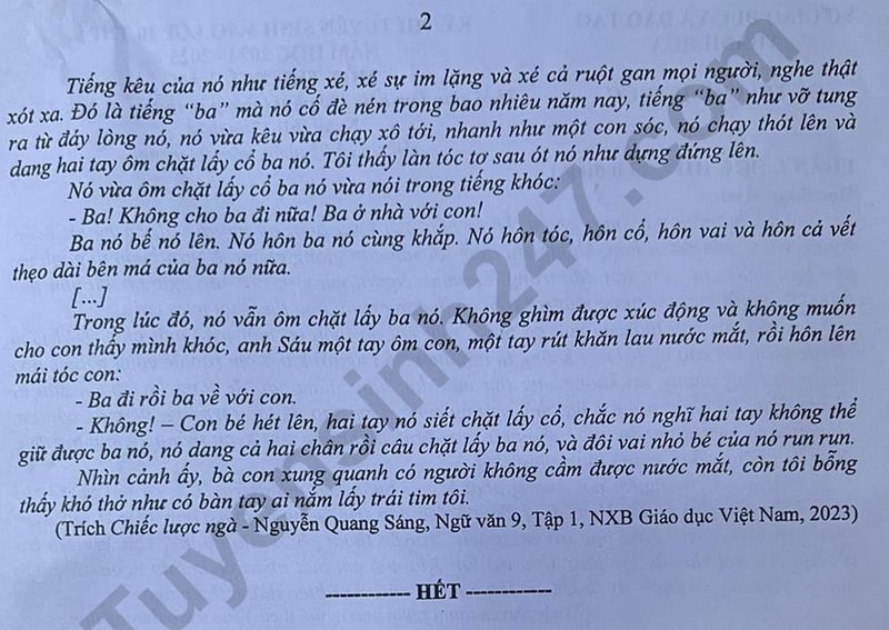 Đáp án đề thi tuyển sinh lớp 10 môn Ngữ văn Thanh Hóa năm 2024- Ảnh 7.