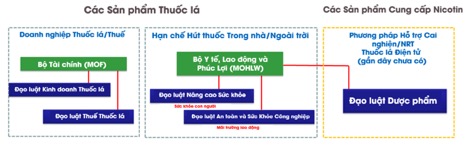 Tận dụng nghiên cứu khoa học để kiểm soát thuốc lá mới- Ảnh 2.