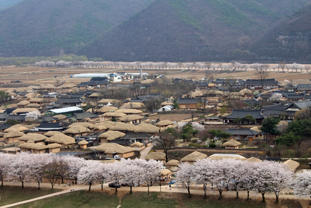 Độc đáo các sản phẩm tỉnh Gyeongsangbuk tại lễ hội "Sâm và hương liệu, dược liệu quốc tế"- Ảnh 1.