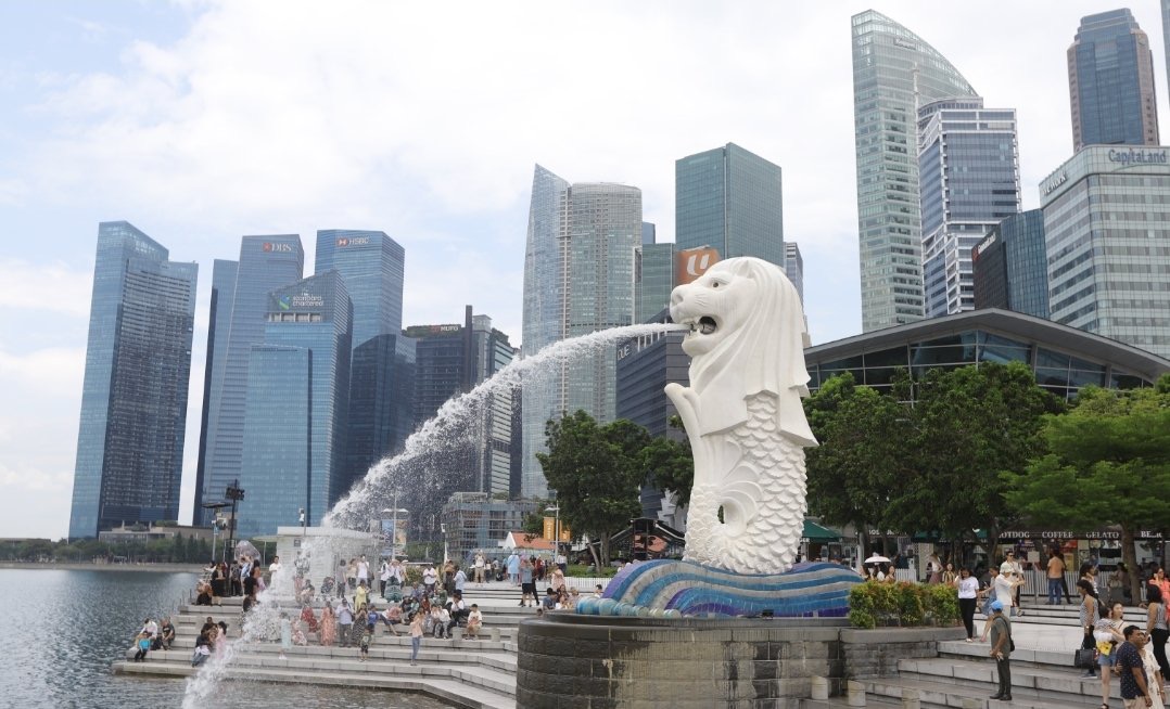 Vietnam Airlines vận chuyển 189 nghìn khách đi, đến Singapore- Ảnh 2.