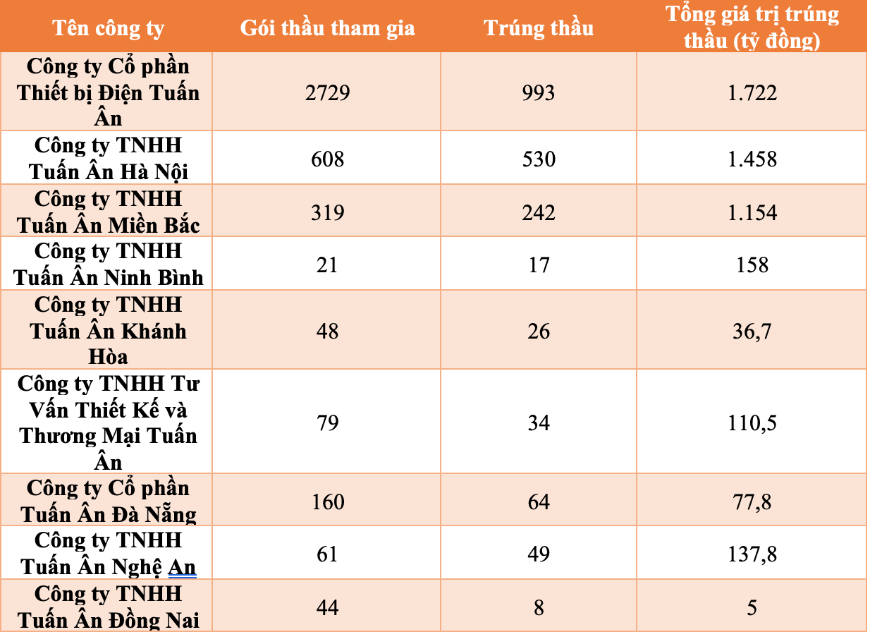 Tập đoàn Tuấn Ân: Nhà thầu "ruột" của hệ sinh thái EVN- Ảnh 1.