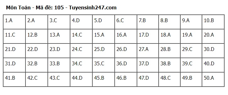 Đáp án đề thi môn Toán mã đề 105 tốt nghiệp THPT 2024- Ảnh 1.