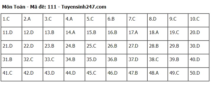 Đáp án đề thi môn Toán mã đề 111 tốt nghiệp THPT 2024- Ảnh 1.