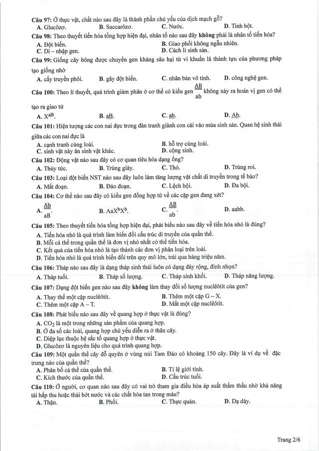 Đáp án đề thi môn Sinh học mã đề 221 tốt nghiệp THPT 2024- Ảnh 3.