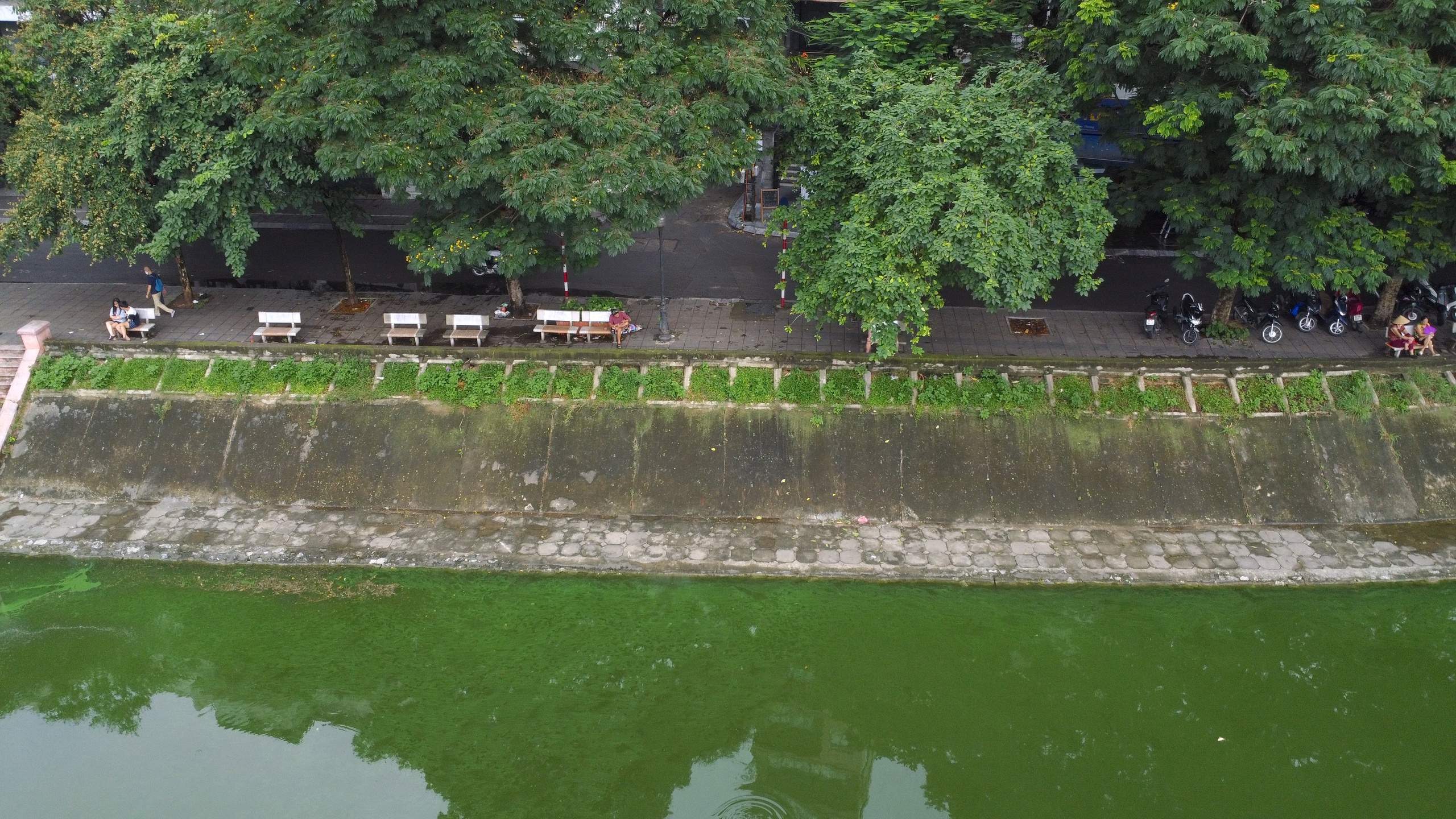 Toàn cảnh hồ Ngọc Khánh sắp được cải tạo làm phố đi bộ thứ 7 ở Hà Nội- Ảnh 10.
