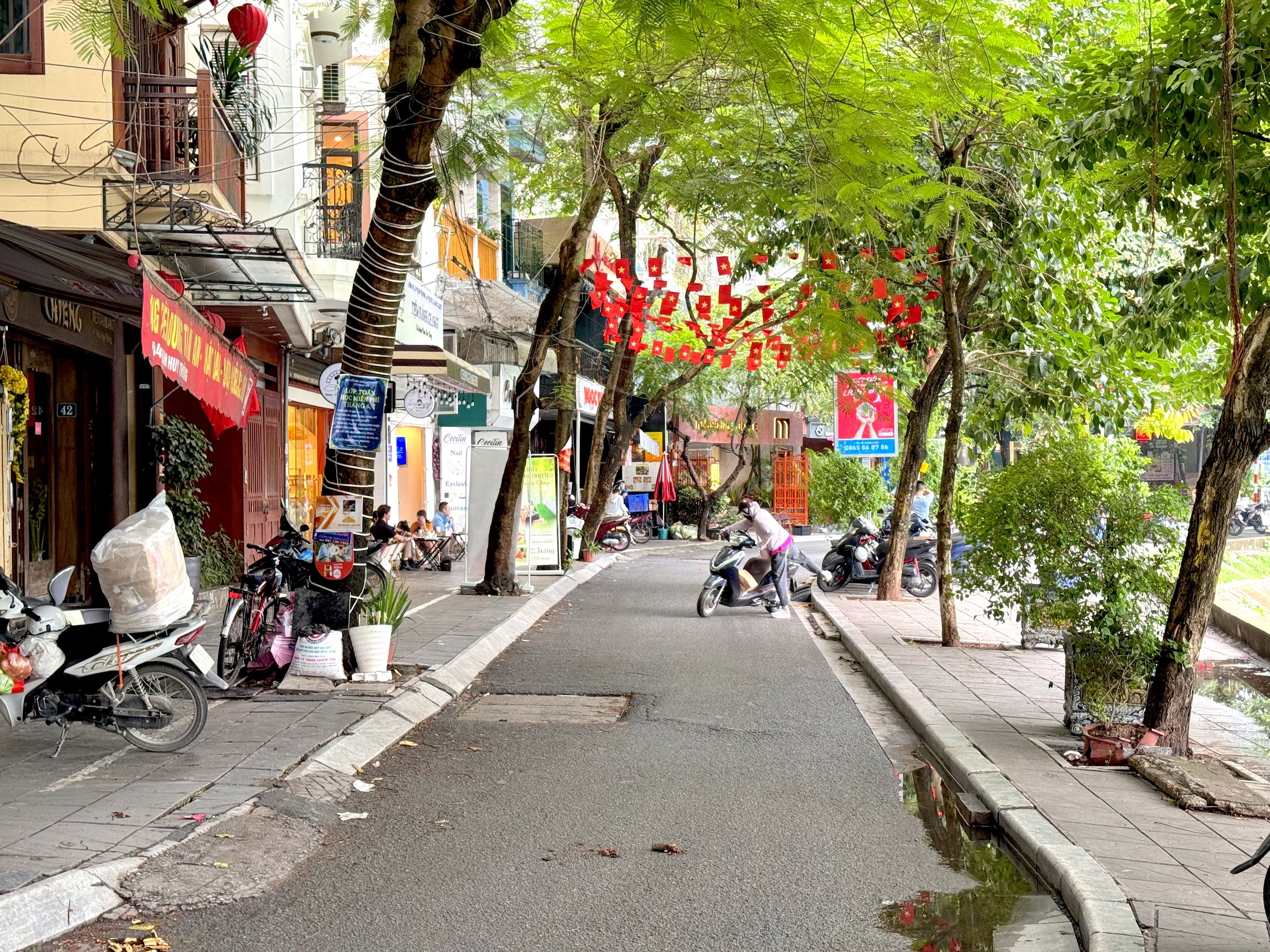 Toàn cảnh hồ Ngọc Khánh sắp được cải tạo làm phố đi bộ thứ 7 ở Hà Nội- Ảnh 9.