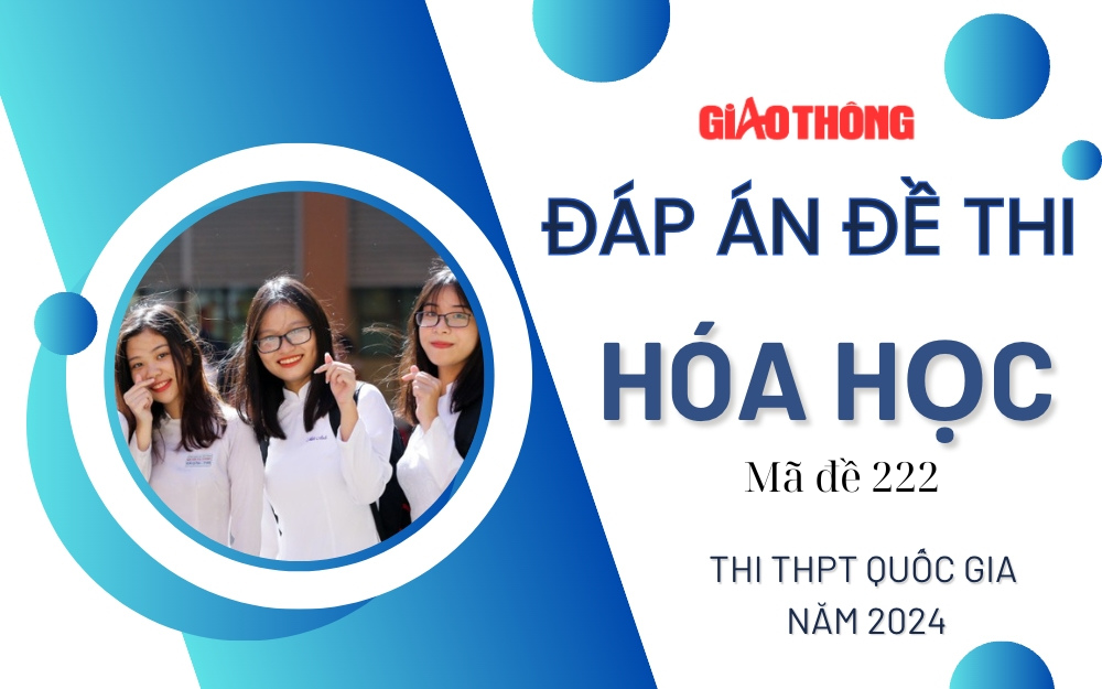 Đáp án đề thi môn Hóa học mã đề 222 tốt nghiệp THPT 2024- Ảnh 1.