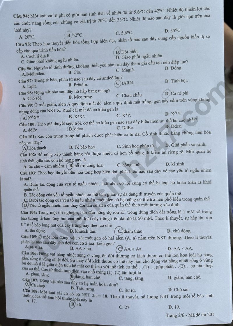 Đáp án đề thi môn Sinh học THPT 2024 tất cả mã đề- Ảnh 2.