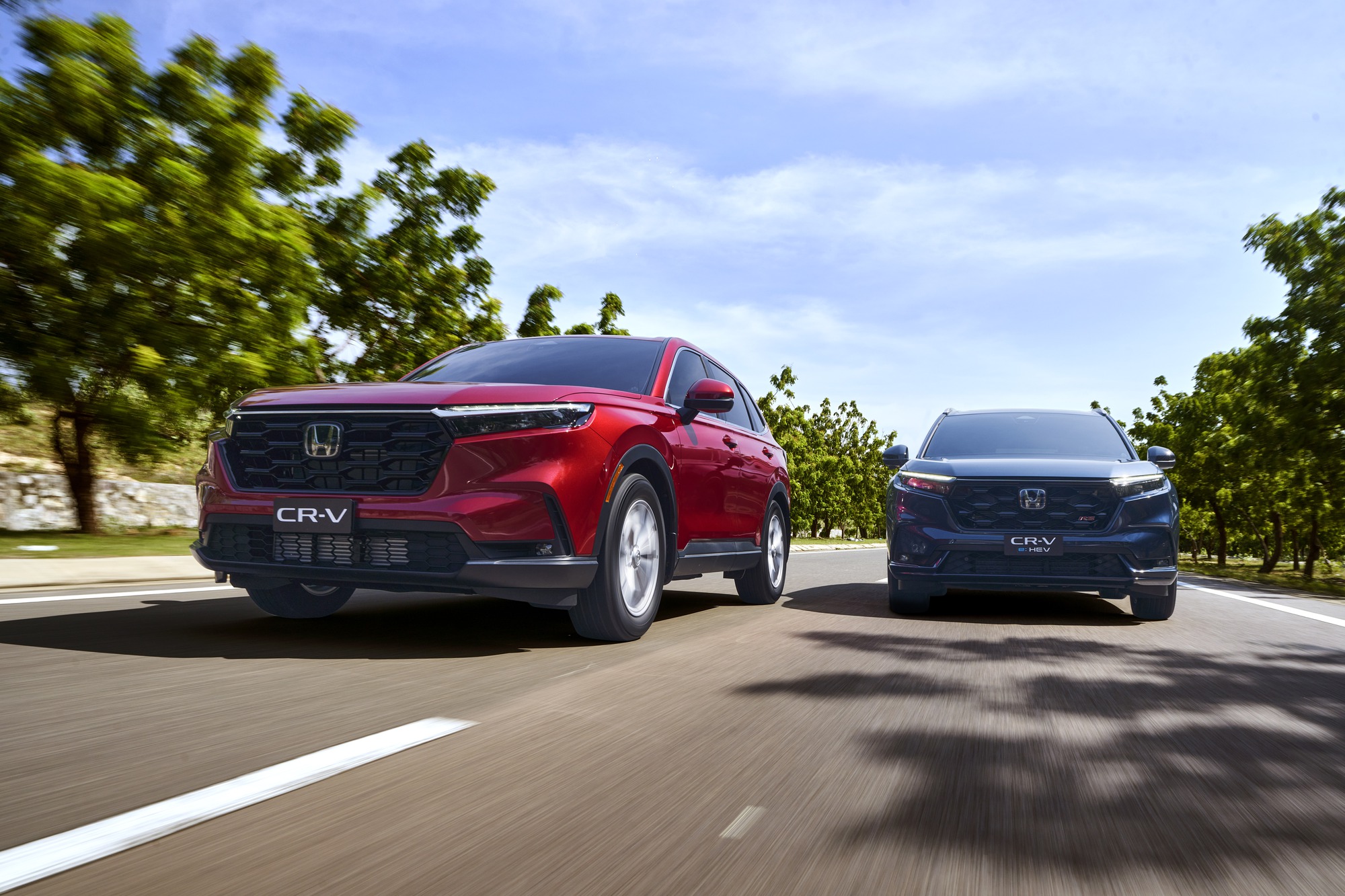 Honda CR-V và Civic nhận giải thưởng an toàn của ASEAN NCAP- Ảnh 1.