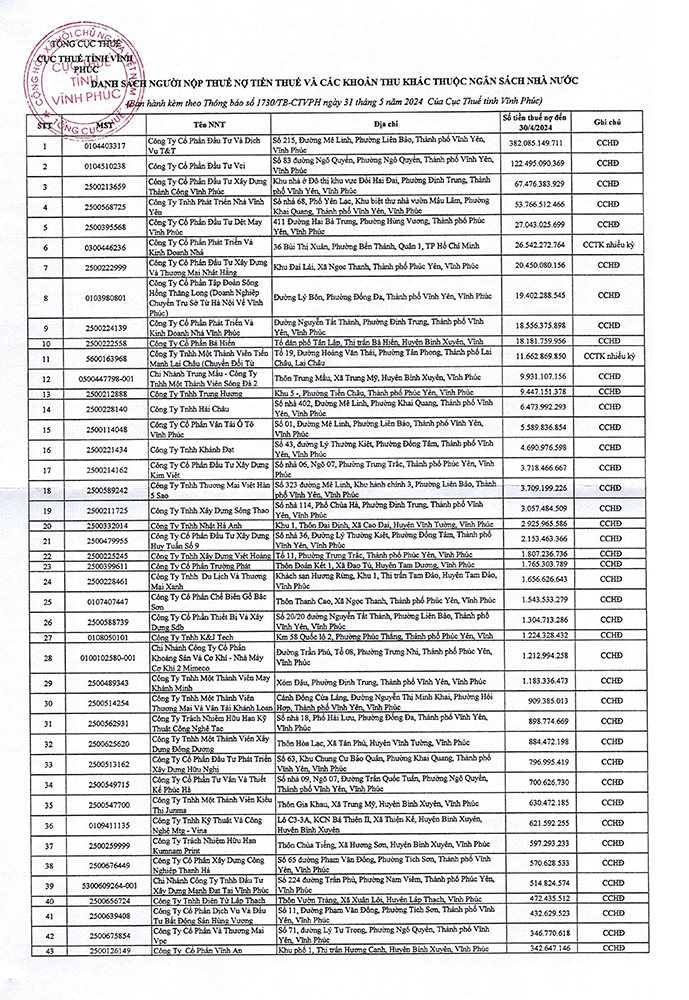 Doanh nghiệp nào ở Vĩnh Phúc bị cưỡng chế gần 400 tỷ tiền thuế?- Ảnh 1.