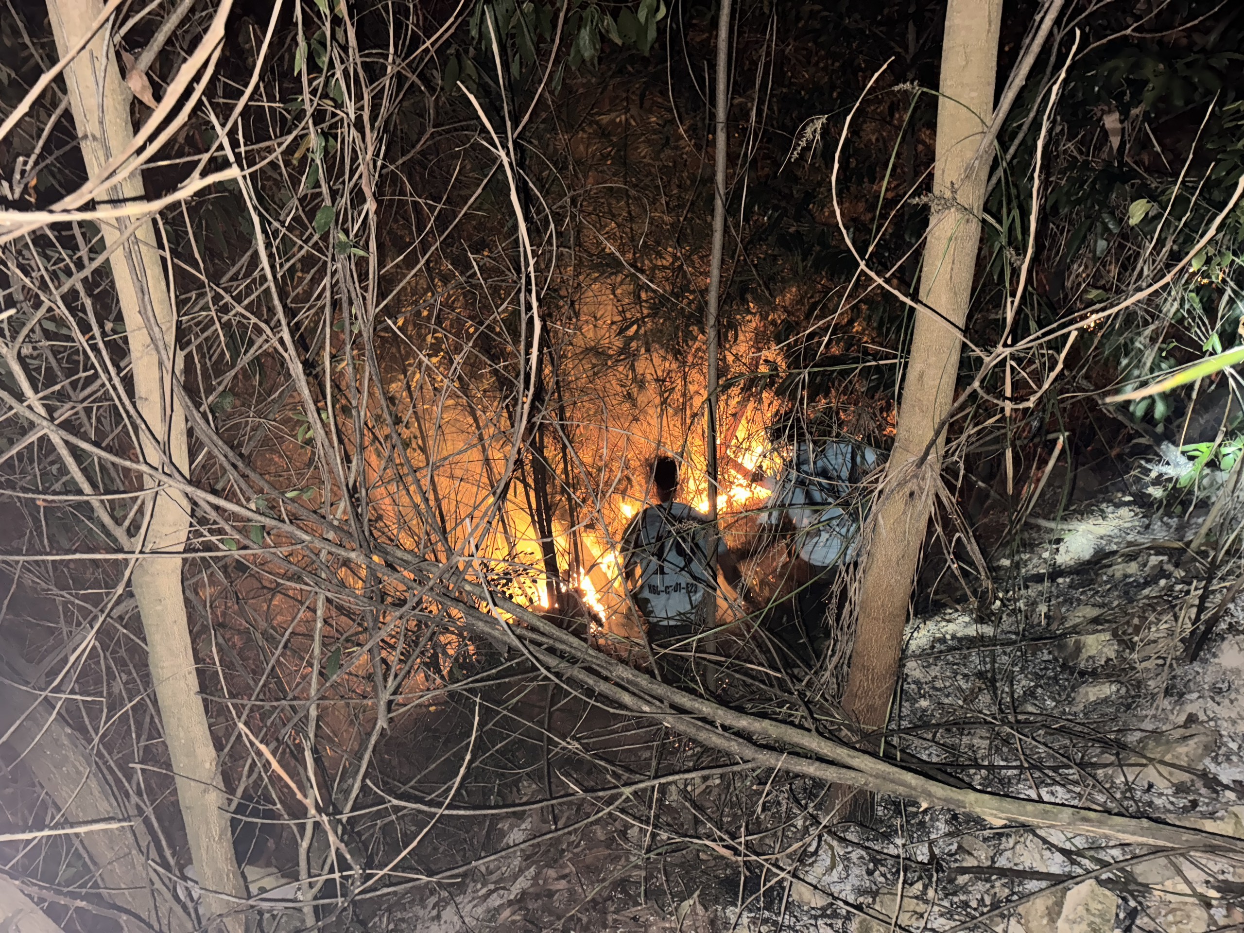 300 người xuyên đêm dập đám cháy rừng ở Bình Định- Ảnh 1.